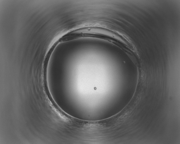 X0000078010894200611031427