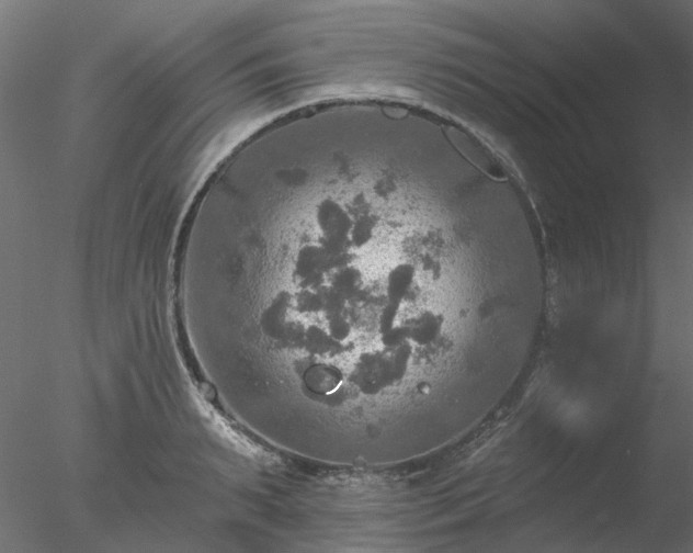 X0000078010895200611031427