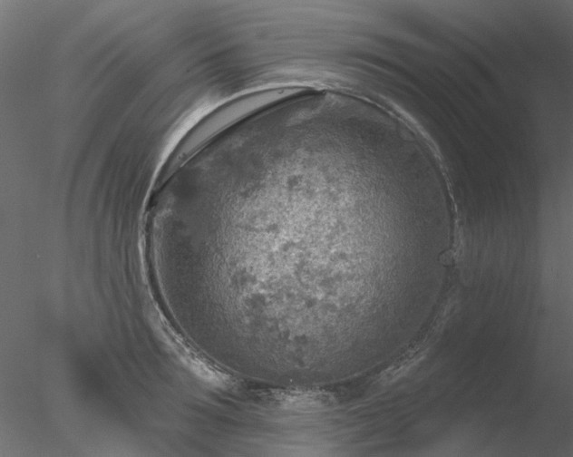 X0000078010899200611031427