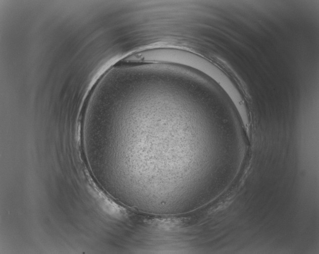 X0000078010900200611031427