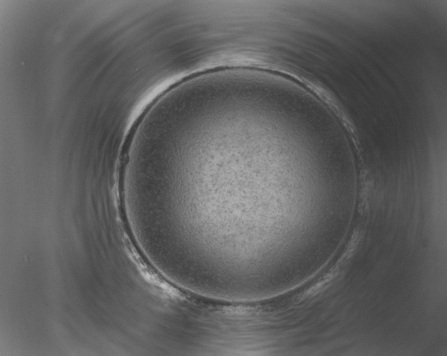 X0000078010904200611031427