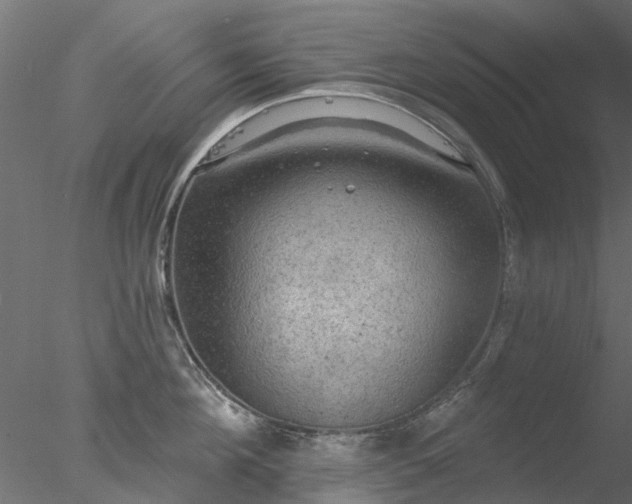 X0000078010908200611031427