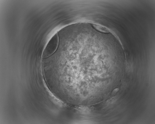 X0000078010911200611031427