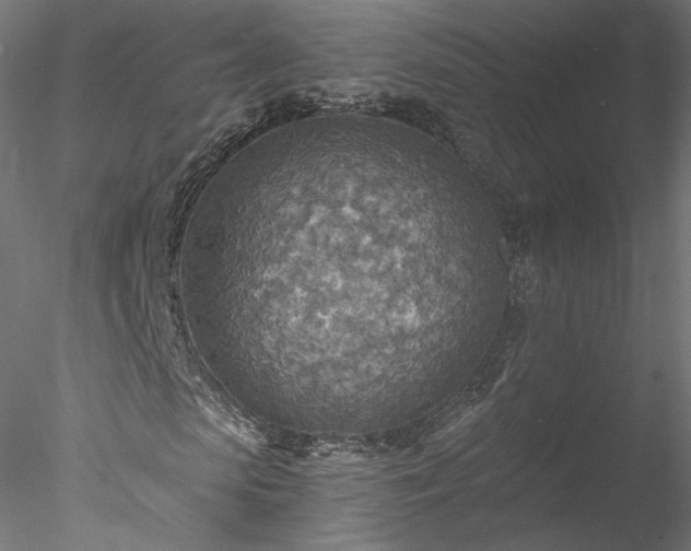 X0000078010913200611031426