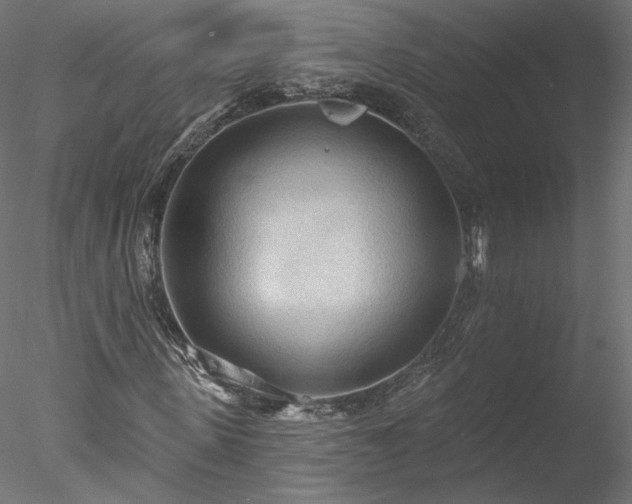 X0000078010915200611031426