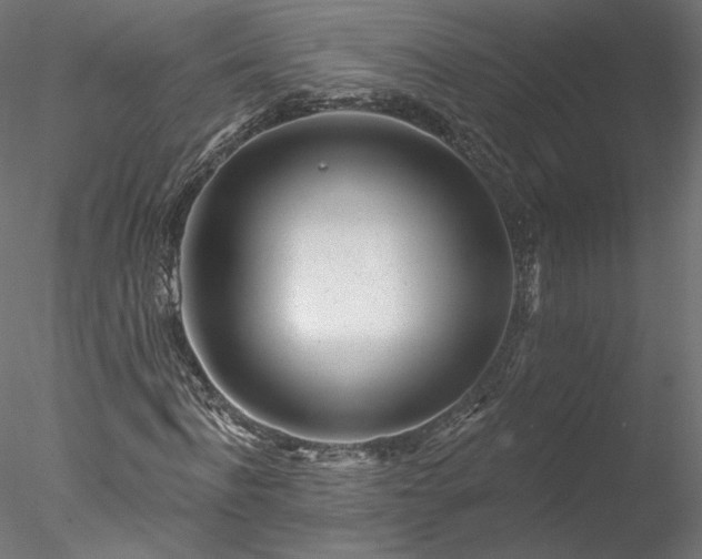 X0000078010916200611031426