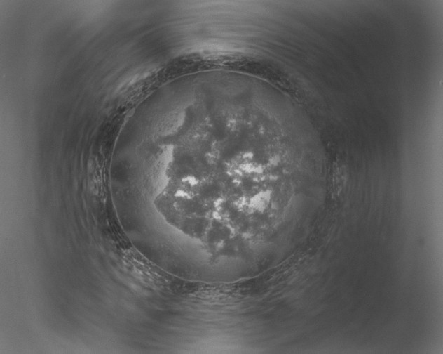 X0000078010917200611031426