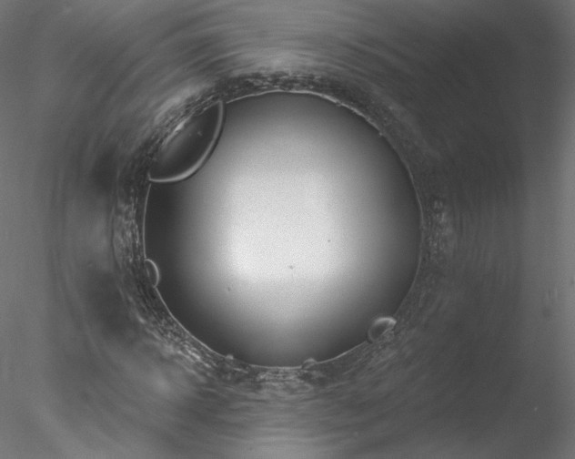 X0000078010918200611031426