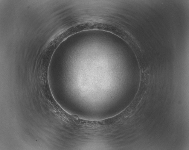 X0000078010919200611031426