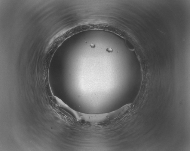 X0000078010920200611031426