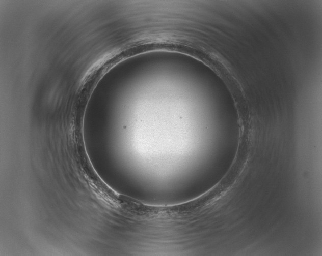 X0000078010922200611031426