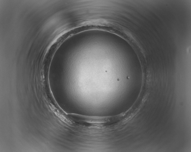 X0000078010923200611031426