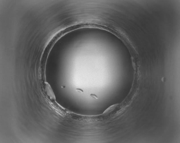 X0000078010924200611031426