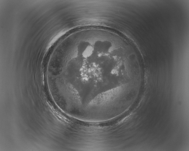 X0000078010925200611031426