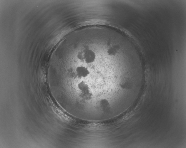 X0000078010929200611031426