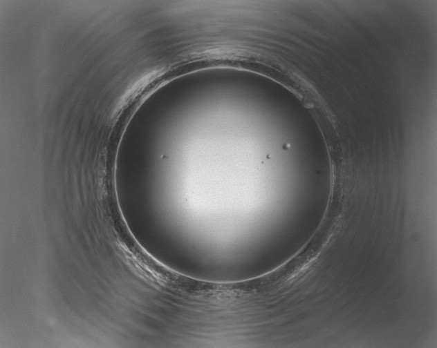 X0000078010930200611031426