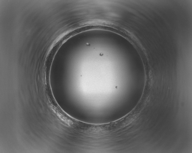 X0000078010931200611031426