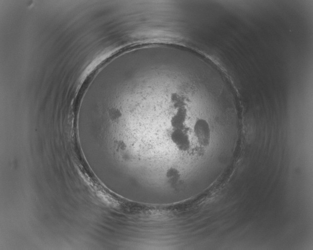 X0000078010933200611031426