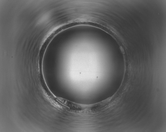 X0000078010934200611031426