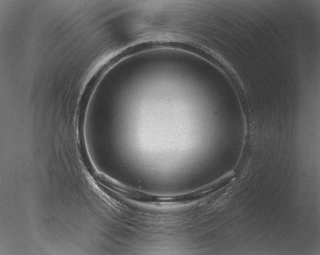 X0000078010935200611031426