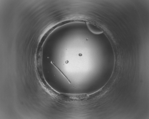 X0000078010936200611031426