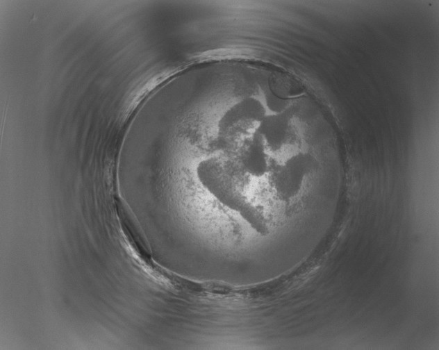 X0000078010937200611031426