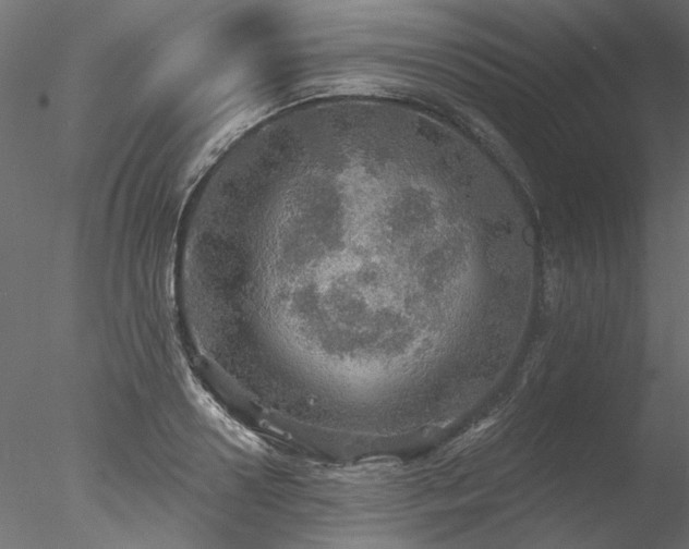 X0000078010938200611031426