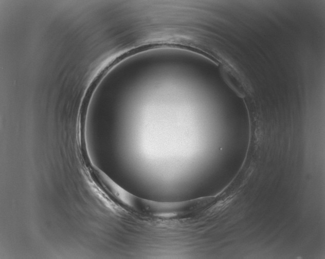 X0000078010940200611031426