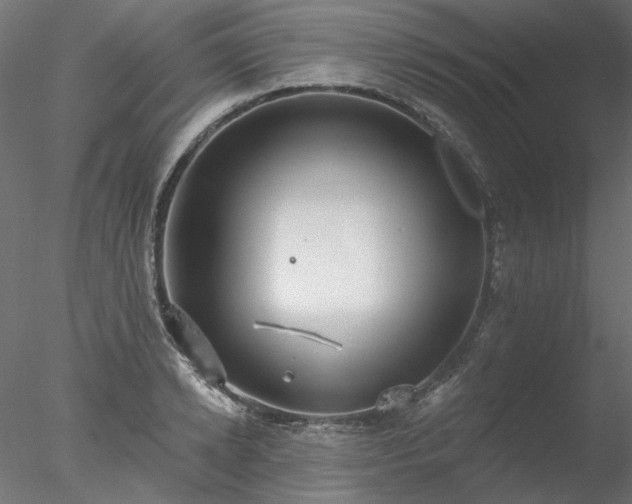 X0000078010942200611031426