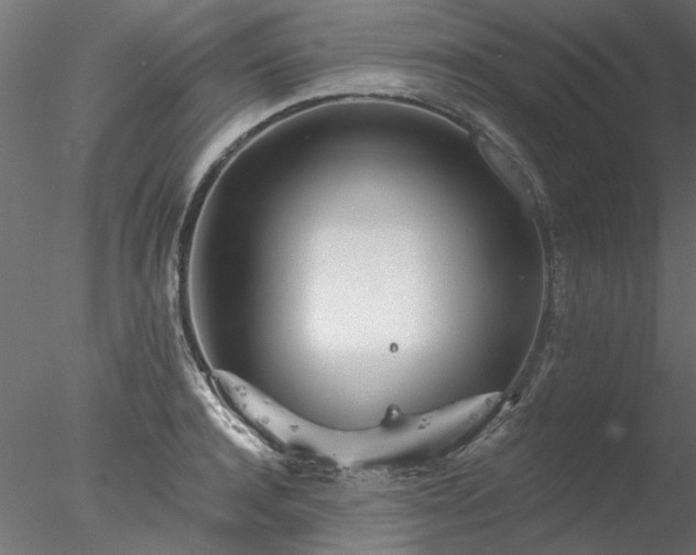 X0000078010944200611031426