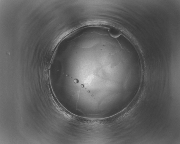 X0000078010945200611031427