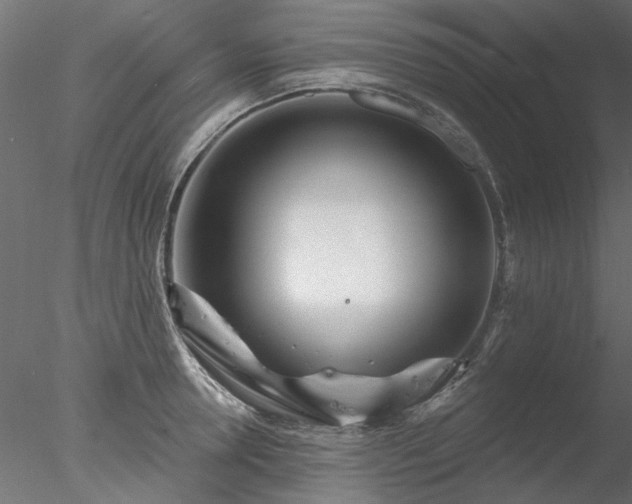 X0000078010946200611031427