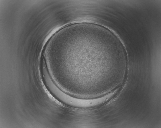 X0000078010949200611031427