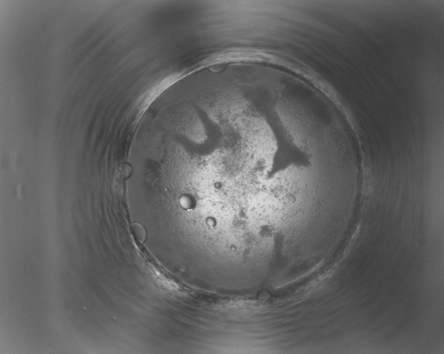 X0000078010953200611031427