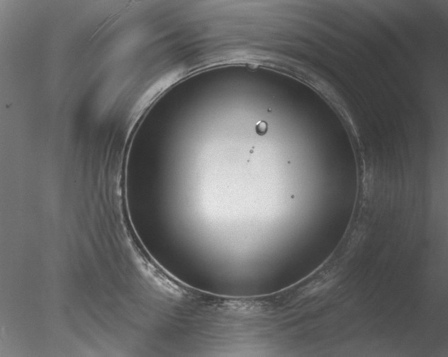 X0000078010954200611031427