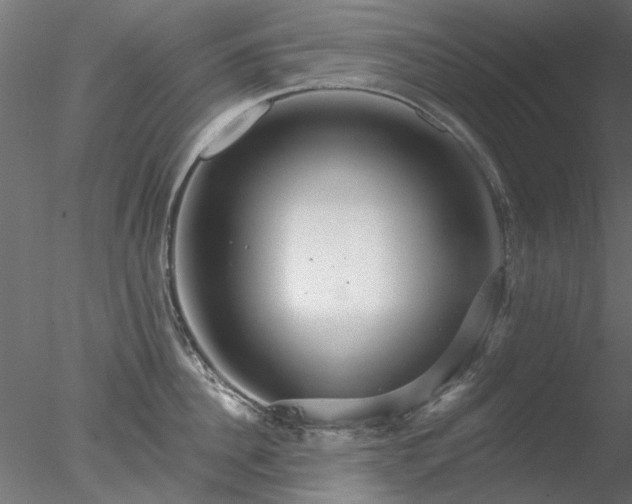 X0000078010956200611031427