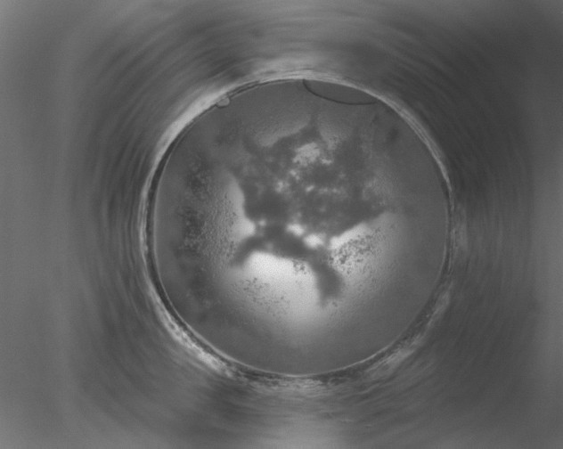 X0000078010957200611031427