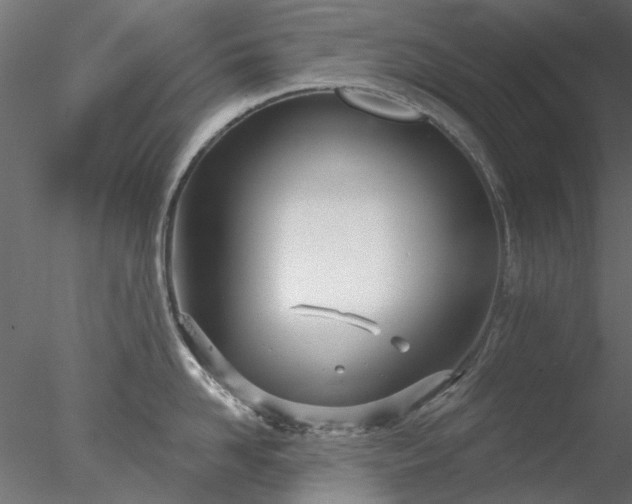 X0000078010958200611031427