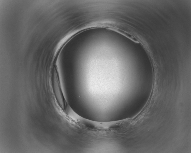 X0000078010960200611031427