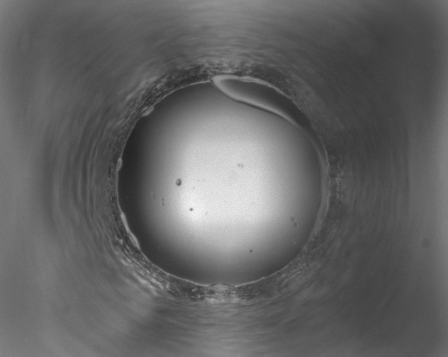 X0000078010961200611031426