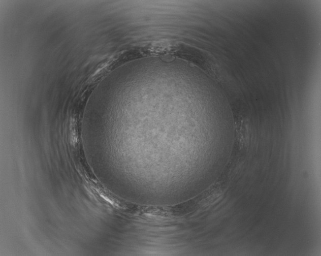 X0000078010962200611031426