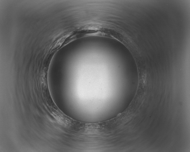 X0000078010964200611031426