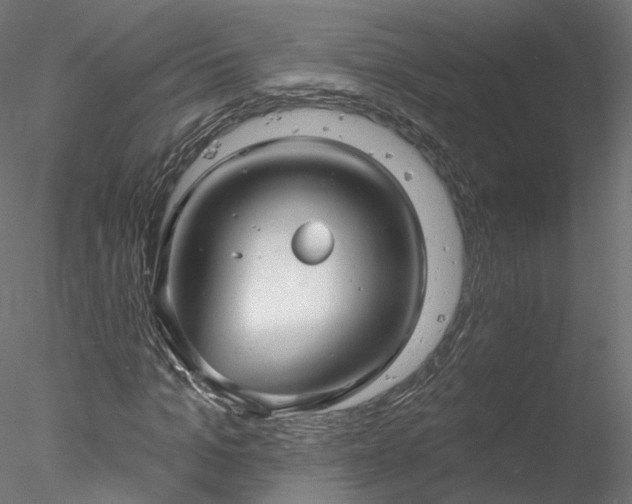 X0000078010965200611031426