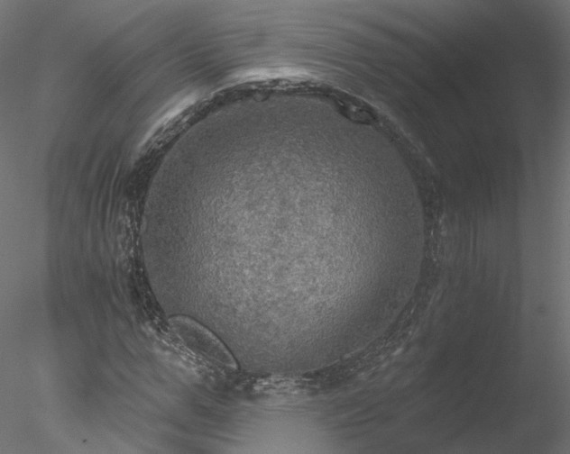 X0000078010967200611031426