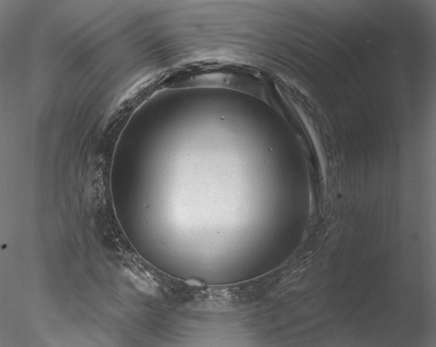 X0000078010968200611031426