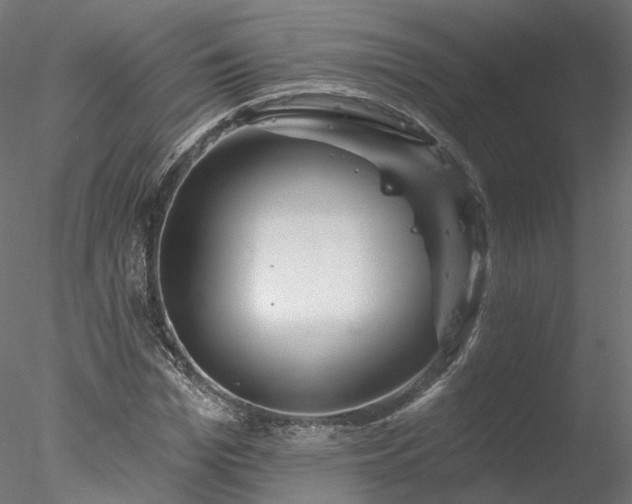 X0000078010969200611031426