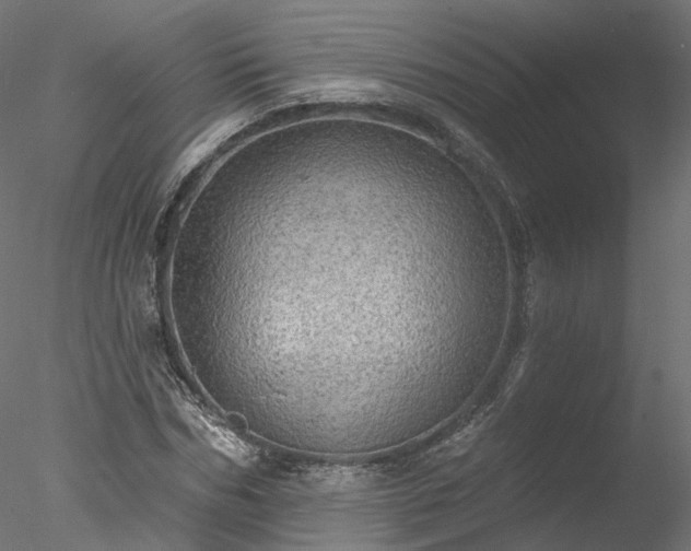 X0000078010970200611031426