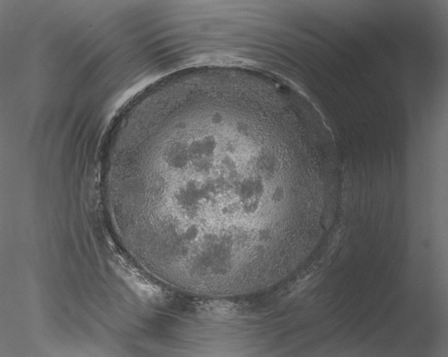 X0000078010971200611031426