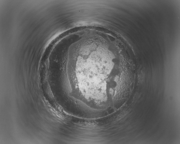 X0000078010975200611031426