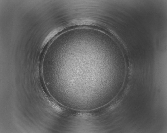 X0000078010978200611031426